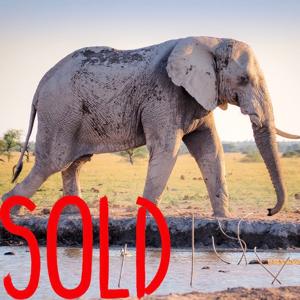 Sold